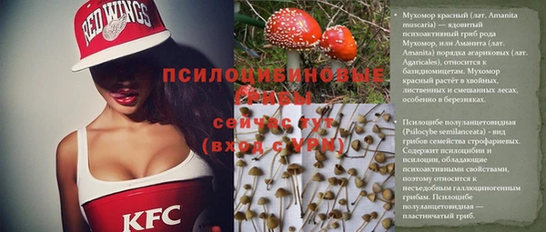 apvp Балабаново