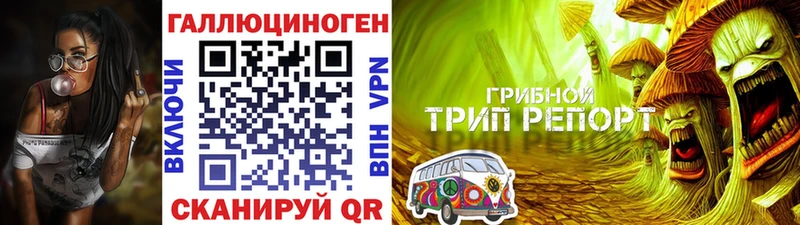 Галлюциногенные грибы MAGIC MUSHROOMS  Лаишево 